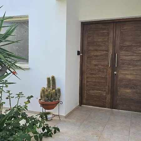 Pantheon 피조우리